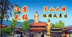 3D插鸡视频网站免费看江苏无锡灵山大佛旅游风景区